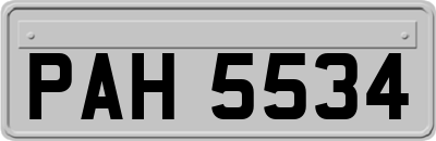 PAH5534