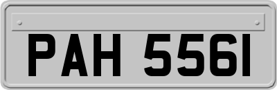 PAH5561