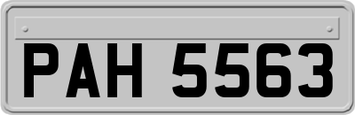 PAH5563