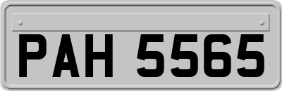 PAH5565