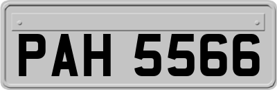 PAH5566