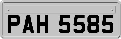 PAH5585