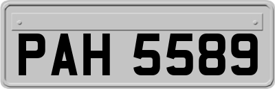 PAH5589