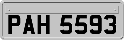 PAH5593