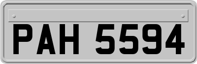 PAH5594