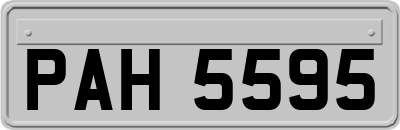 PAH5595