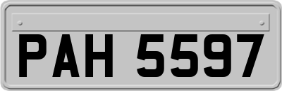 PAH5597