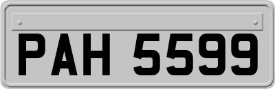 PAH5599