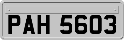 PAH5603