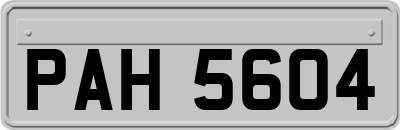 PAH5604