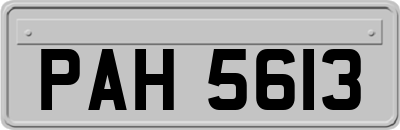 PAH5613