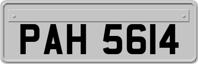 PAH5614