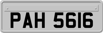 PAH5616
