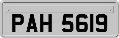 PAH5619