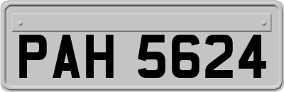 PAH5624