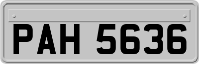 PAH5636