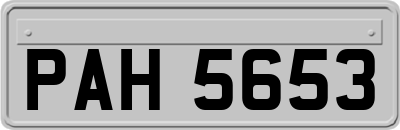 PAH5653