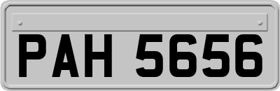 PAH5656
