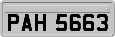 PAH5663