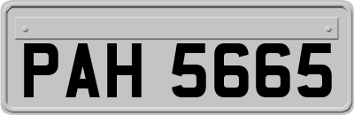 PAH5665