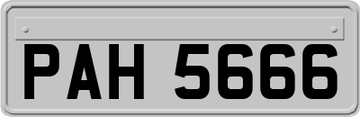 PAH5666