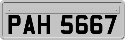 PAH5667