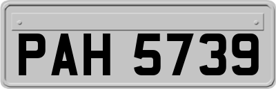 PAH5739