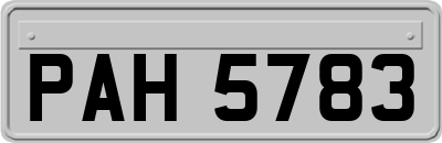 PAH5783
