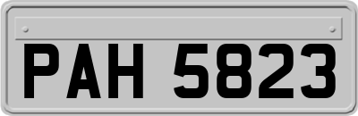 PAH5823