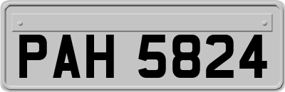 PAH5824