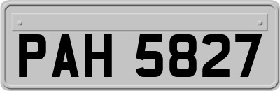 PAH5827