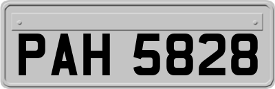 PAH5828