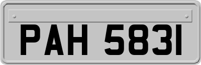 PAH5831