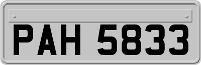 PAH5833