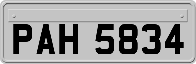 PAH5834
