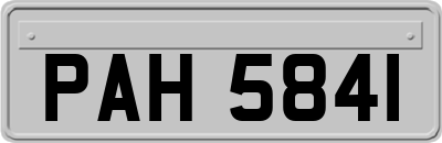PAH5841