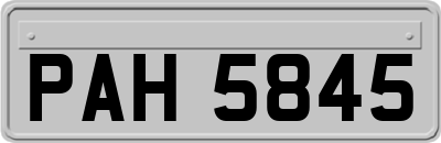 PAH5845