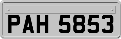 PAH5853