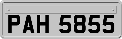 PAH5855