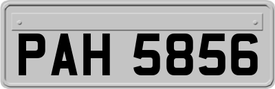 PAH5856
