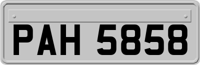 PAH5858