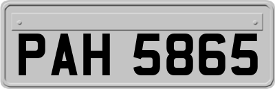 PAH5865