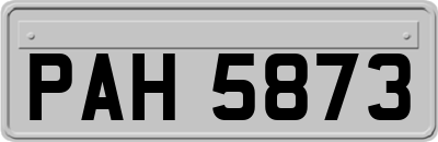 PAH5873