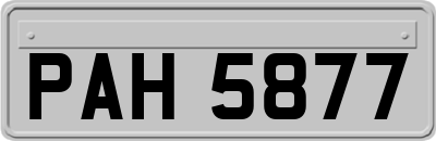 PAH5877