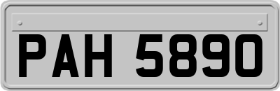 PAH5890