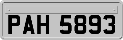 PAH5893