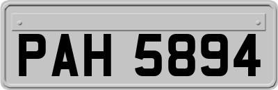 PAH5894