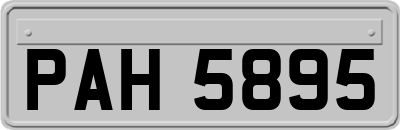 PAH5895