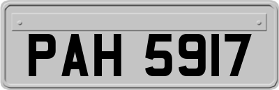 PAH5917