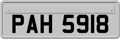 PAH5918